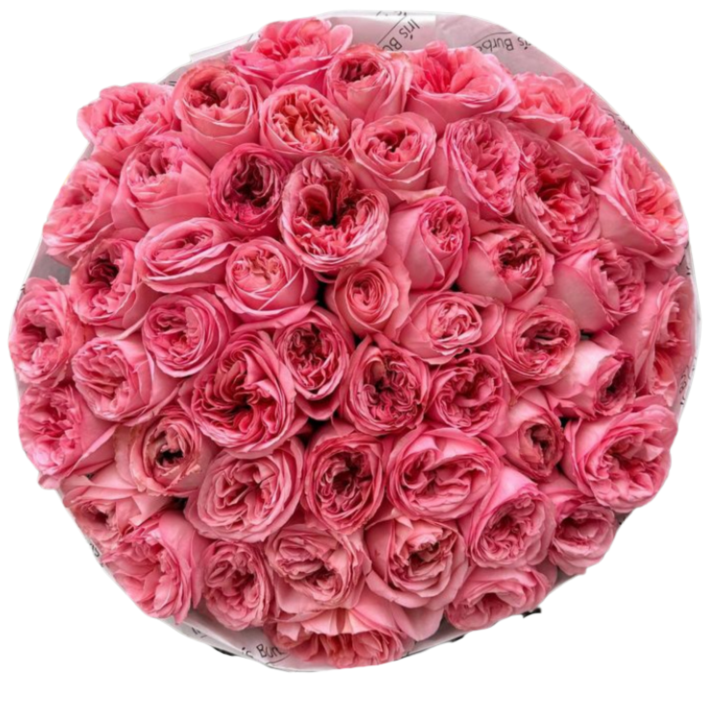 XPression Rose Bouquet