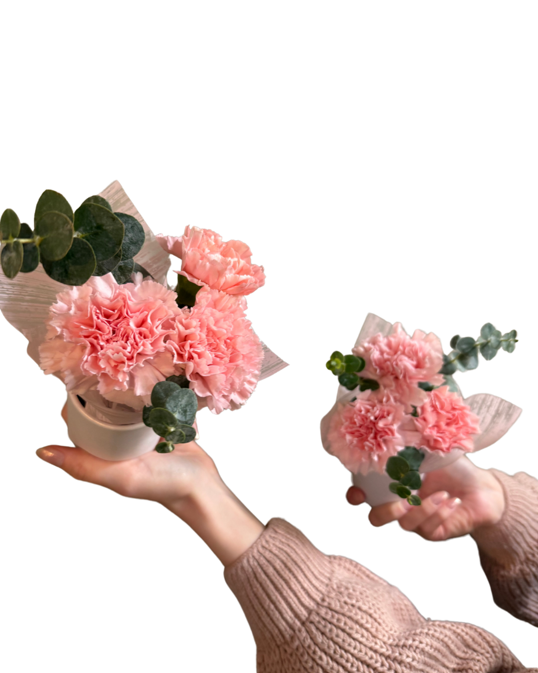 Mini Carnation Box