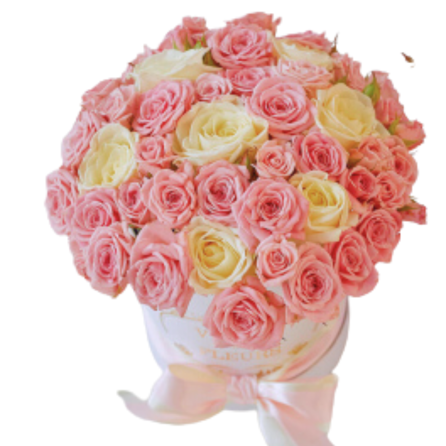 Premium Rose Box