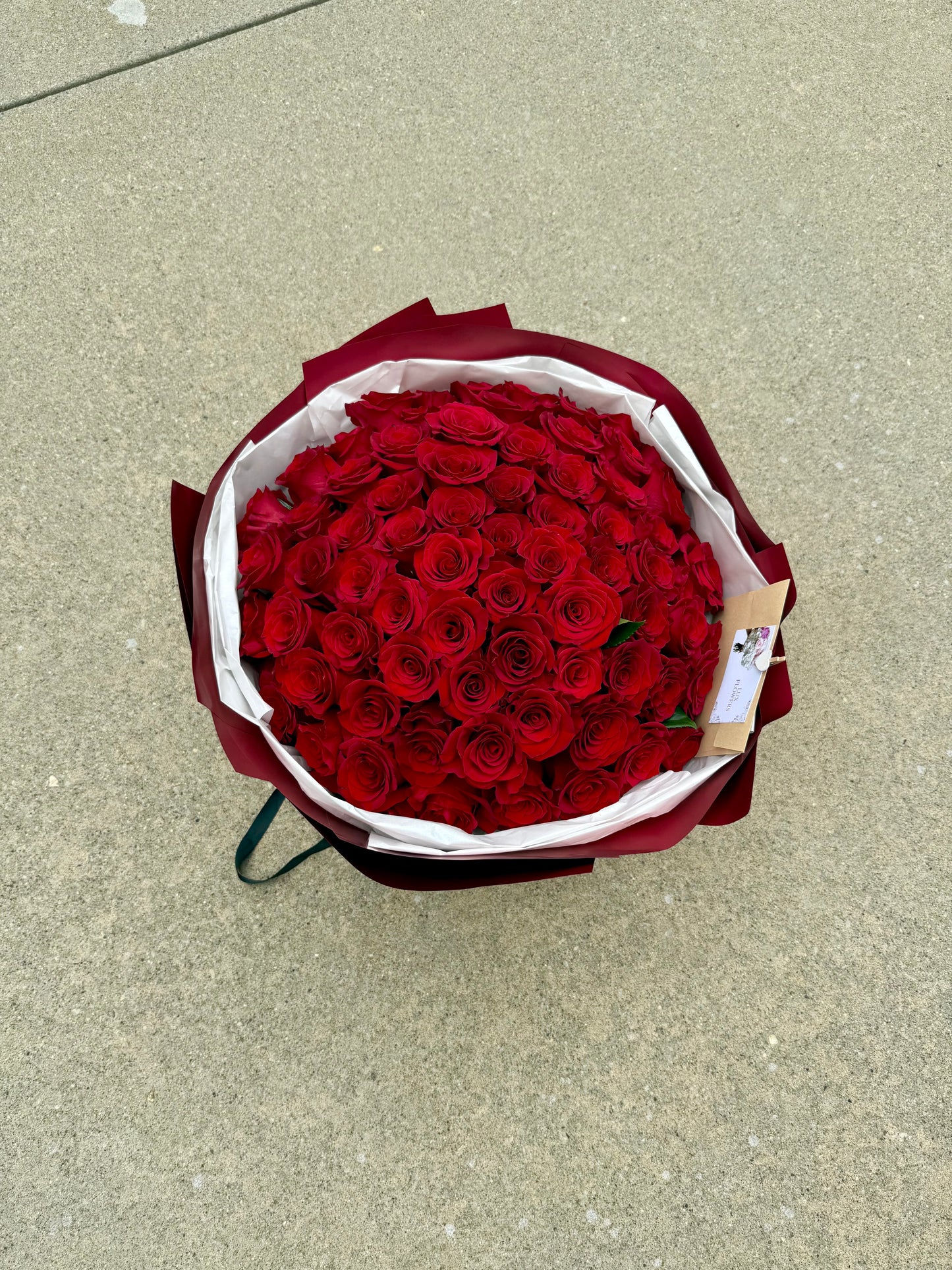 XL RED ROSE