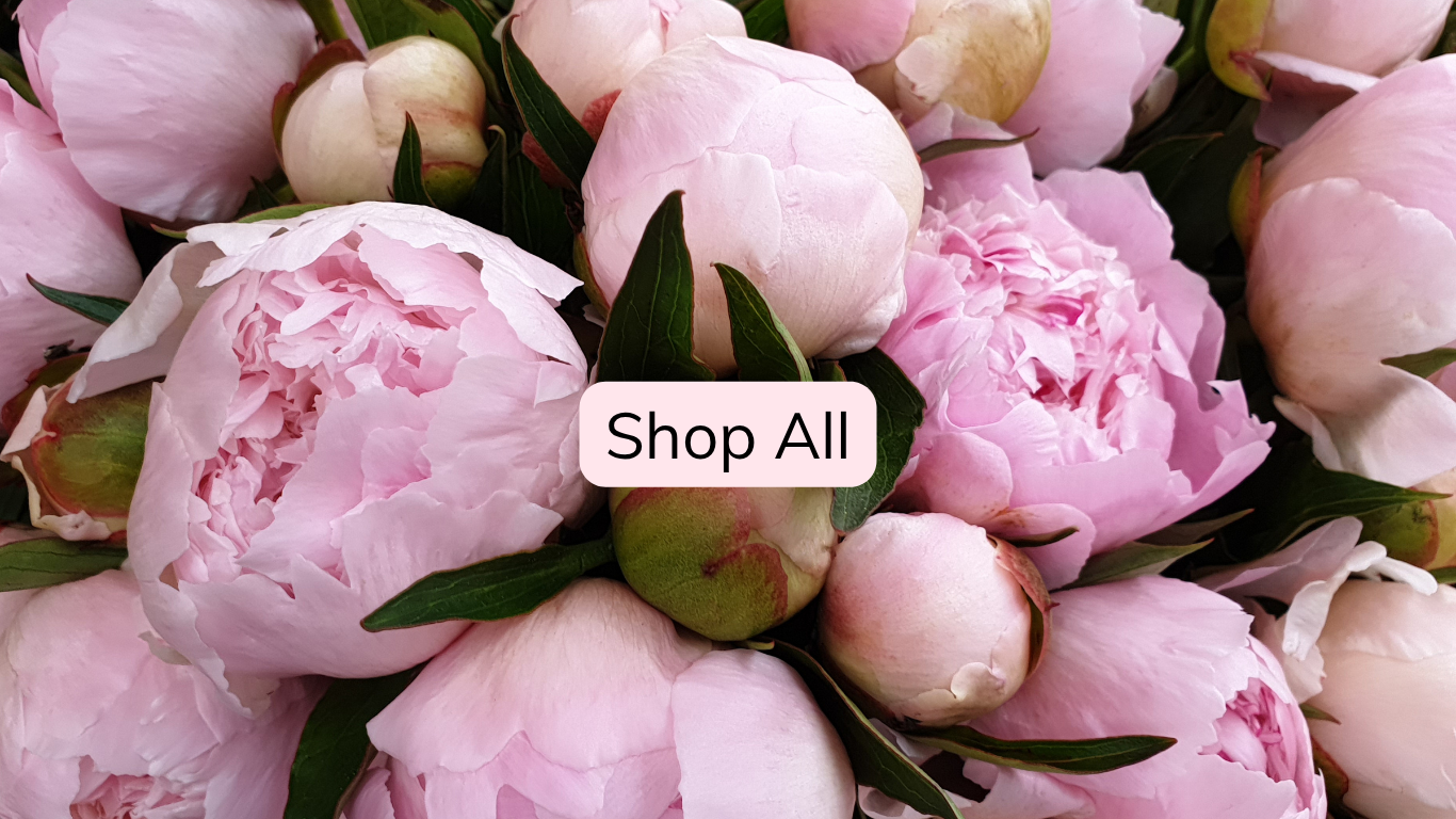Shop Flowers & Gifts