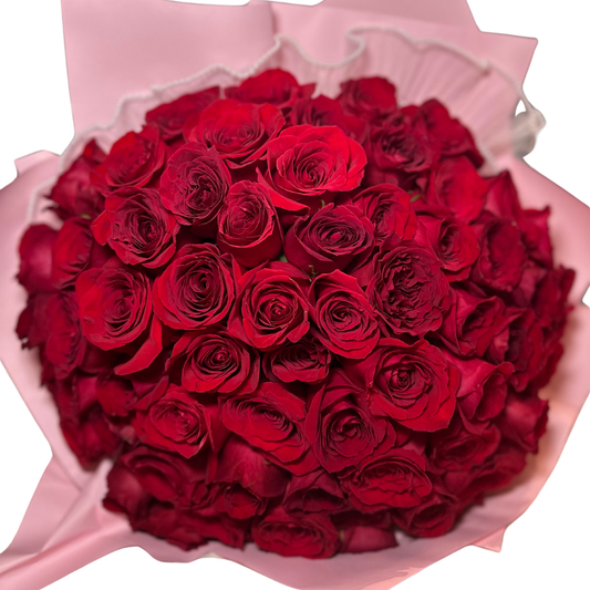 XL RED ROSE