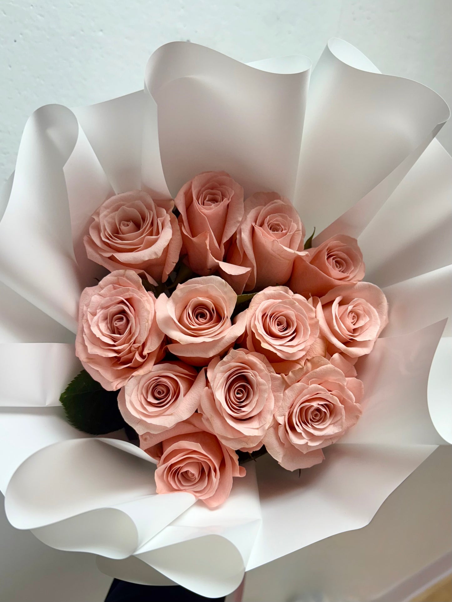 Lovely Dozen - Valentine's Day