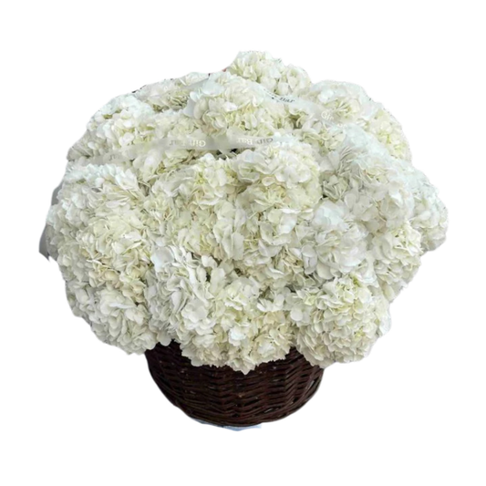 Hydrangea Basket