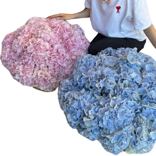 Hydrangea Basket