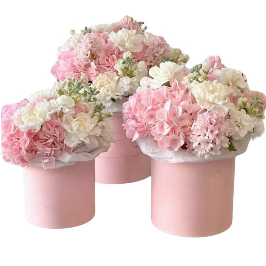 Mix Flower Box