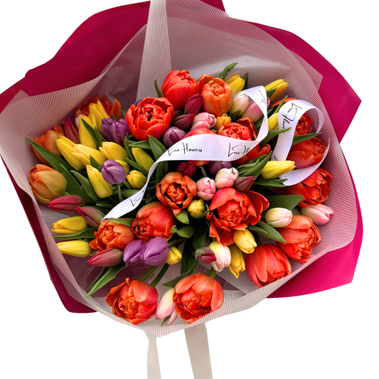 Premium Tulips