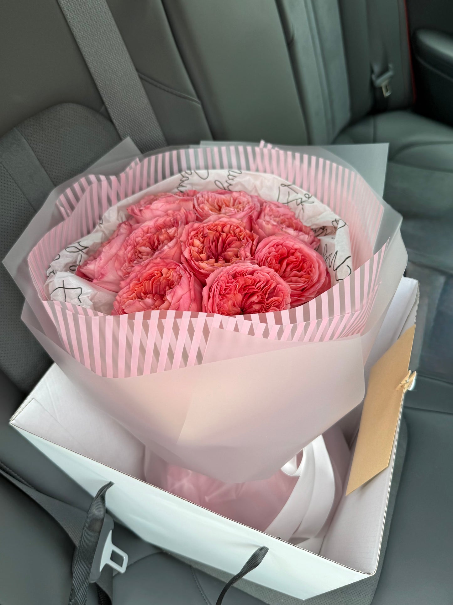 Garden Rose Dozen - Valentine's Day