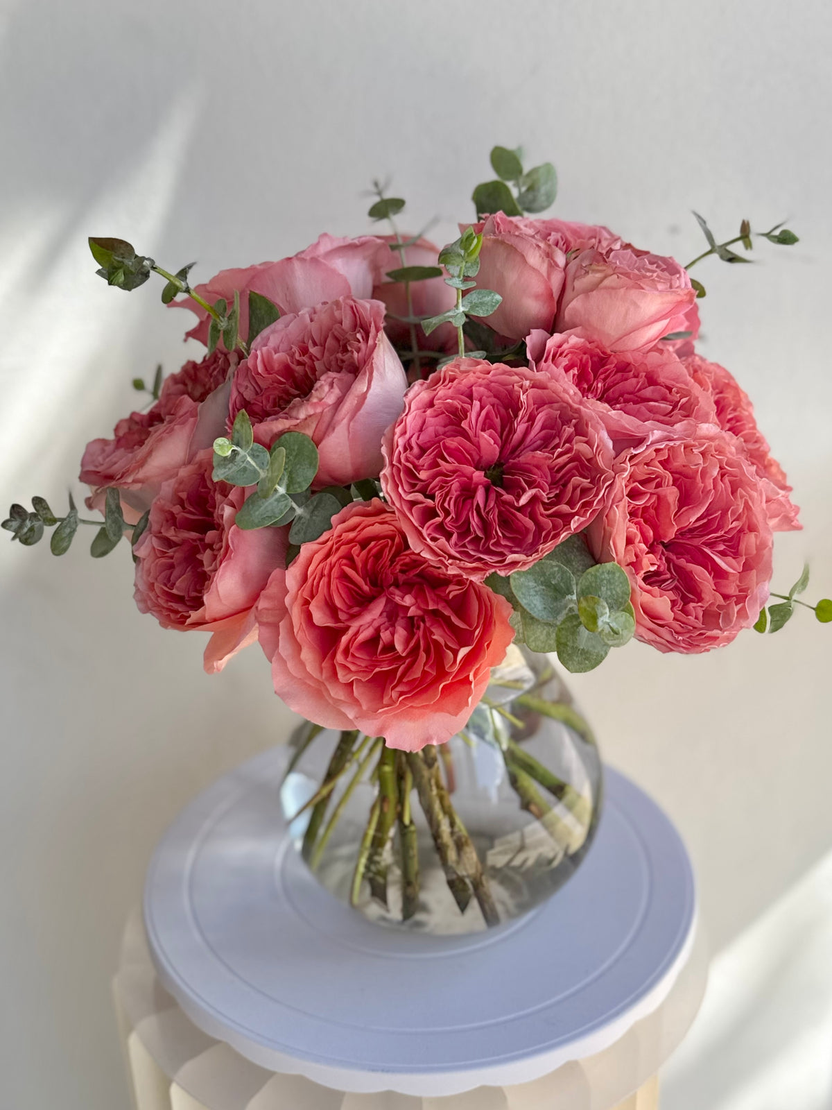 Rose Garden Dreams
