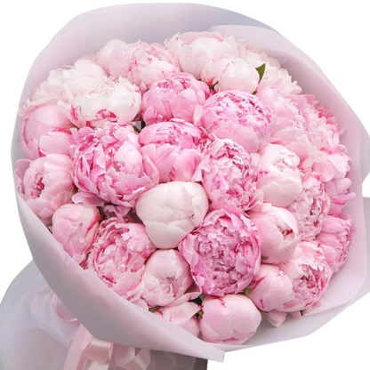 Bouquet of Peonies