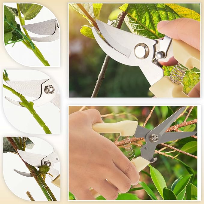 Florist Grade Shears