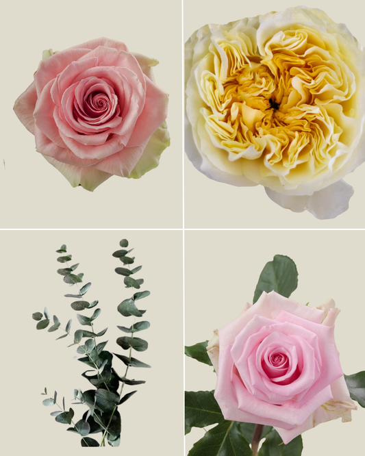 Selection 3