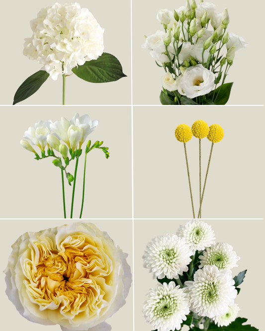 Selection 1