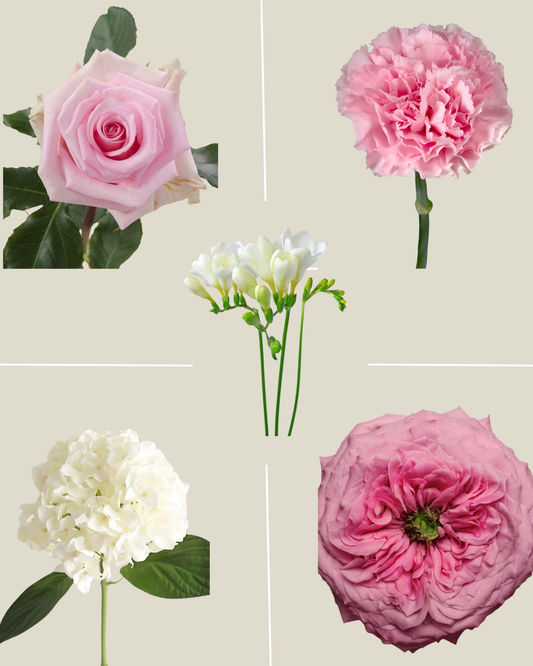 Selection 2